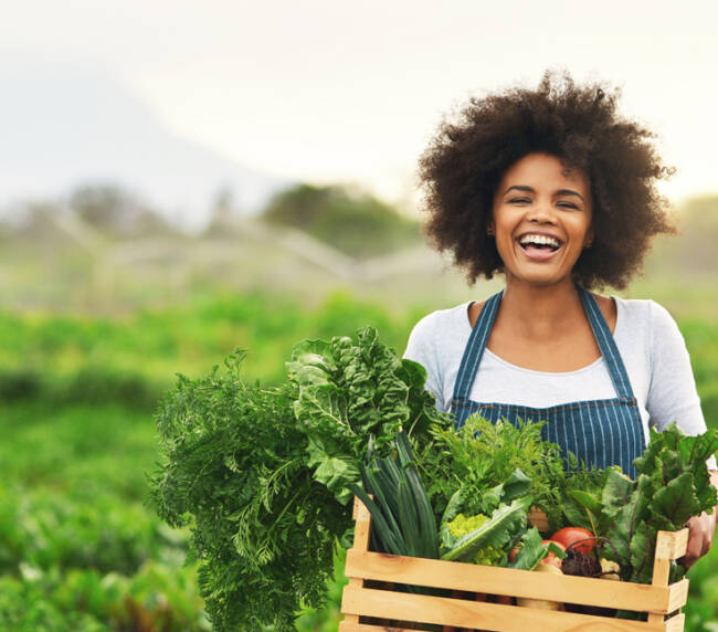 Farming in South Africa